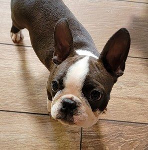 Meet your Posher, Debra